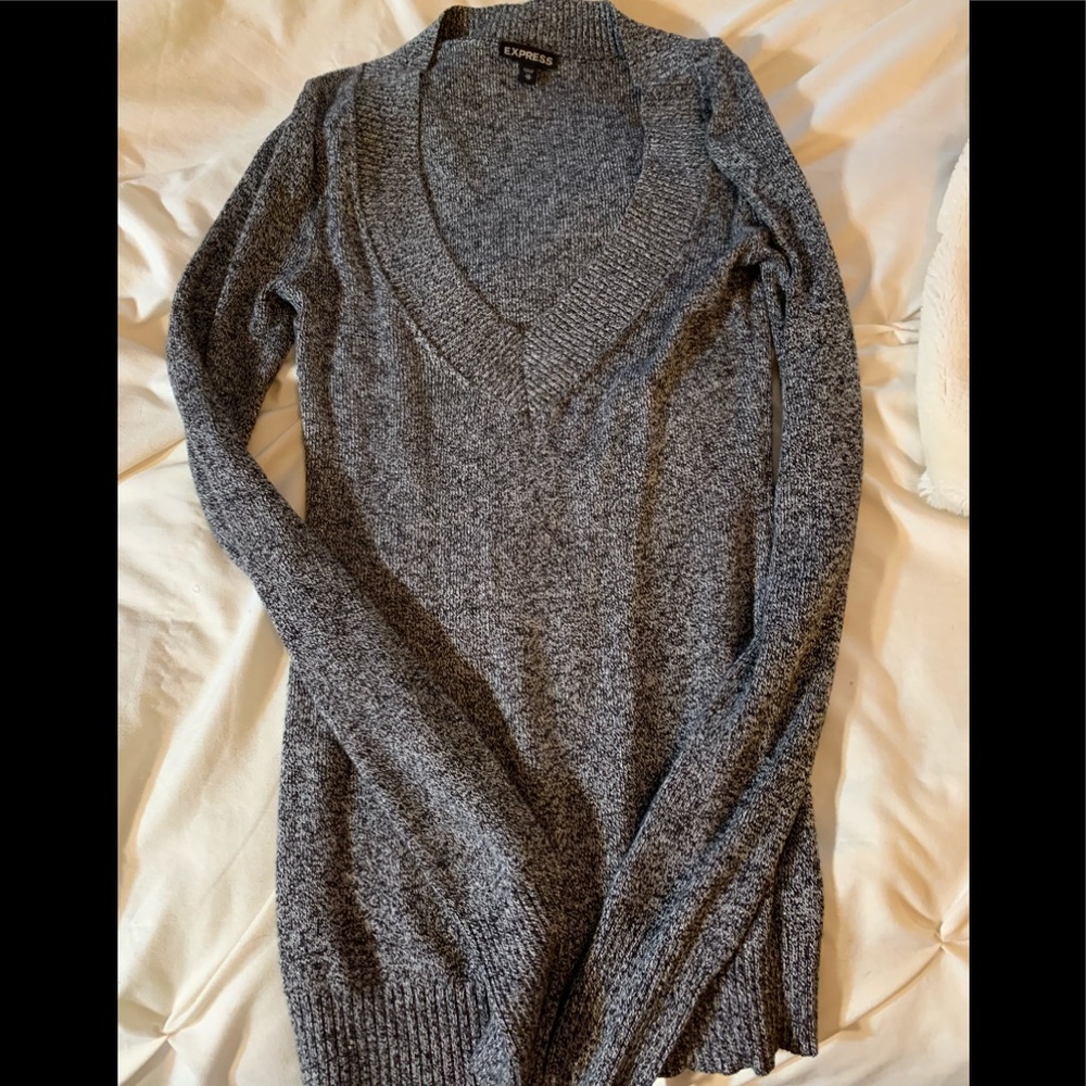 Express V-neck sweater